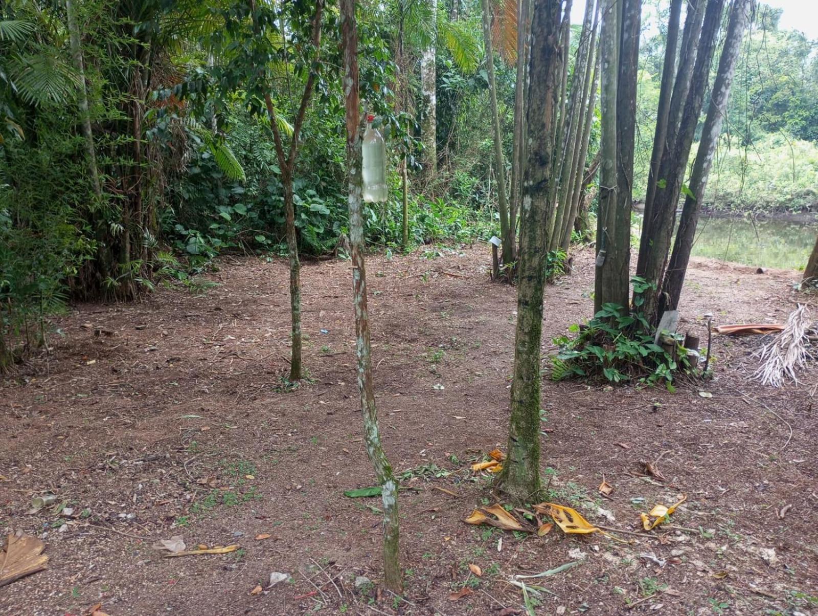 Camping Monte Hermom Ubatuba Zewnętrze zdjęcie